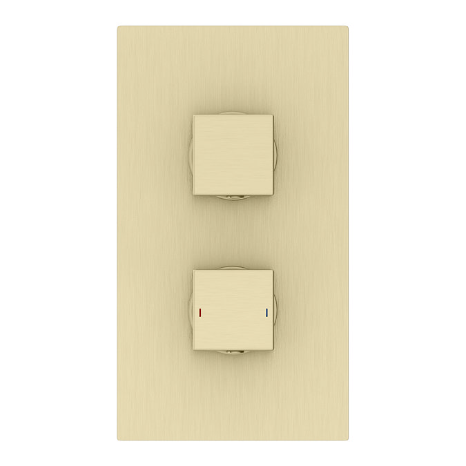 Arezzo Brushed Brass Square Modern Twin Concealed Shower Valve