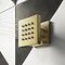 Arezzo Brushed Brass Square Shower System (Valve with Diverter, Handset, Fixed Shower Head + 4 Body 