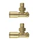 Arezzo Brushed Brass Trap and Isolating Set  Standard Large Image