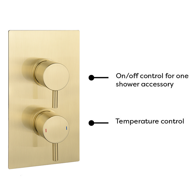 Arezzo Brushed Brass Twin Concealed Shower Valve inc. 300mm Head + Ceiling Mounted Arm Standard Large Image