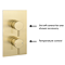 Arezzo Brushed Brass Twin Concealed Shower Valve inc. 300mm Head + Ceiling Mounted Arm Standard Large Image