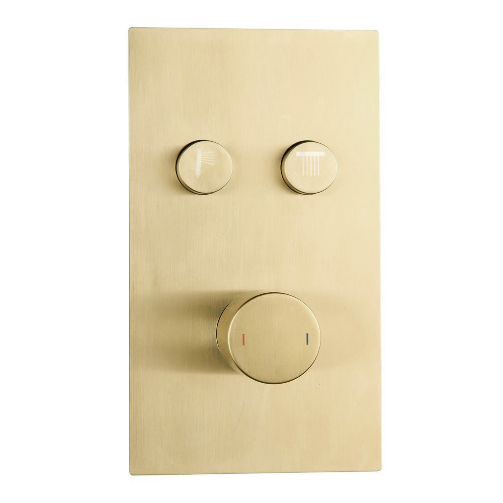 Arezzo Brushed Brass Twin Modern Round Push Button Shower Valve