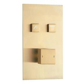Arezzo Brushed Brass Twin Modern Square Push-Button Shower Valve with 2 Outlets Medium Image