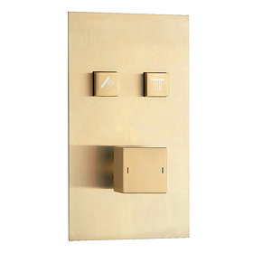 Arezzo Brushed Brass Twin Modern Square Push-Button Shower Valve with 2 Outlets Large Image