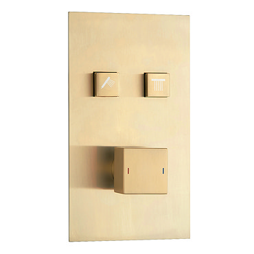 Arezzo Brushed Brass Twin Modern Square Push-Button Shower Valve with 2 Outlets  Profile Large Image