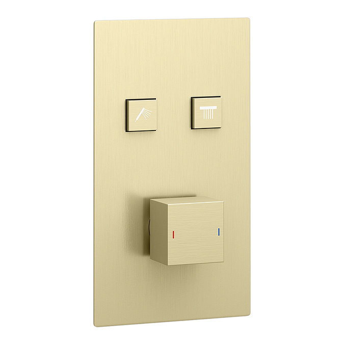 Arezzo Brushed Brass Twin Modern Square Push-Button Shower Valve with 2 Outlets