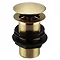 Arezzo Brushed Brass Unslotted Easy Clean Click Clack Basin Waste Large Image