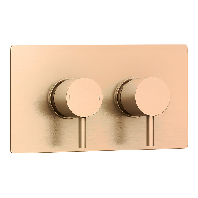 Arezzo Brushed Bronze Round Modern Twin Concealed Shower Valve with Diverter  Standard Large Image