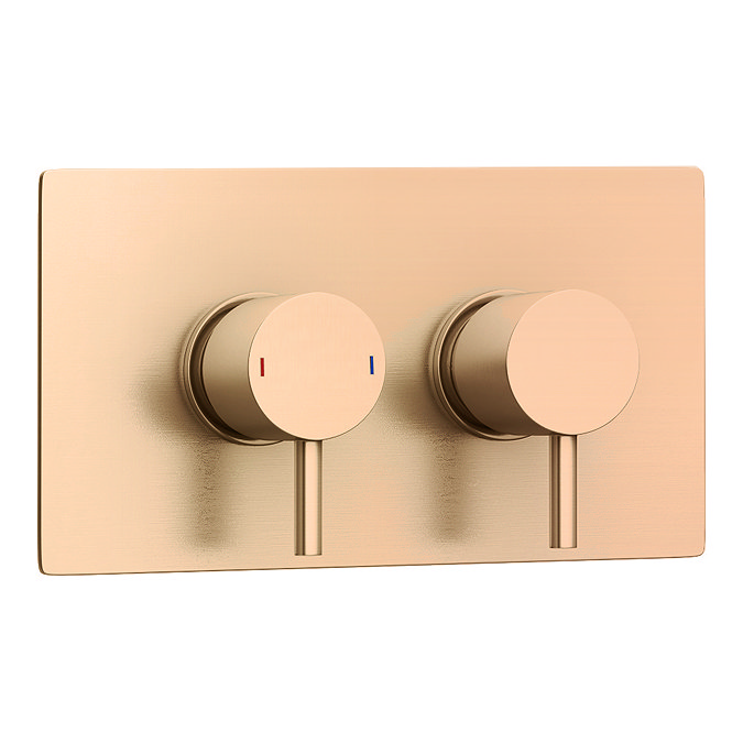 Arezzo Brushed Bronze Round Modern Twin Concealed Shower Valve with Diverter Standard Large Image