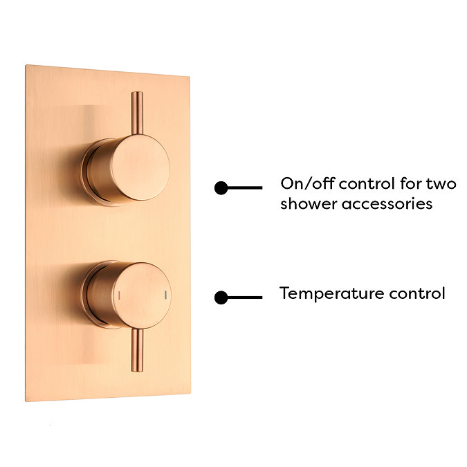 Arezzo Brushed Bronze Round Modern Twin Concealed Shower Valve with Diverter  Standard Large Image