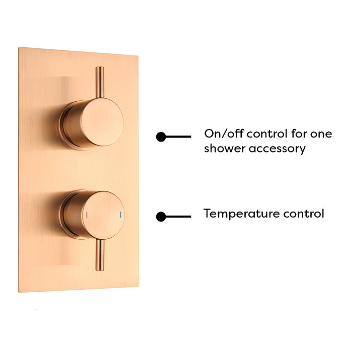 Arezzo Brushed Bronze Round Modern Twin Concealed Shower Valve  Feature Large Image