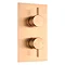 Arezzo Brushed Bronze Round Modern Twin Concealed Shower Valve Large Image