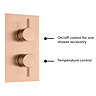 Arezzo Brushed Bronze Round Shower Package with Concealed Valve & Head