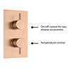 Arezzo Brushed Bronze Round Thermostatic Shower Pack with Head + Handset