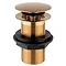 Arezzo Brushed Bronze Unslotted Click Clack Basin Waste Large Image