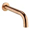 Arezzo Brushed Bronze Wall Mounted Bath Spout Large Image