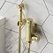 Arezzo BTW Close Coupled Toilet with Brushed Brass Douche Kit and Soft Close Seat