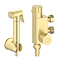 Arezzo BTW Close Coupled Toilet with Brushed Brass Douche Kit and Soft Close Seat
