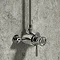 Arezzo Chrome Industrial Style Exposed Dual Shower Valve  Standard Large Image