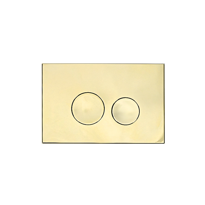 Arezzo Compact Concealed Cistern with Gold Flush Plate - Round Buttons  Profile Large Image