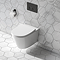 Arezzo Compact Top/Front Flush Toilet Frame with Matt Black Flush - Round Buttons