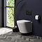Arezzo Compact Toilet Frame with Wall Hung Toilet, Matt Black Flush Plate and Hinges