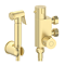 Arezzo Compact Toilet Frame with Wall Hung WC, Brushed Brass Flush, Hinges + Douche Kit