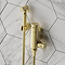 Arezzo Compact Toilet Frame with Wall Hung WC, Brushed Brass Flush, Hinges + Douche Kit
