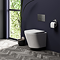 Arezzo Compact Top/Front Flush Toilet Frame with Brushed Gunmetal Grey Flush - Round Buttons