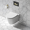 Arezzo Compact Top/Front Flush Toilet Frame with Matt Black & Brushed Brass Flush - Round Buttons