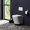 Arezzo Compact Top/Front Flush Toilet Frame with White Flush - Round Buttons