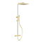 Arezzo Deluxe Cool Touch Square Thermostatic Shower (300 x 300mm Head - Brushed Brass)