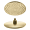 Arezzo EcoDelux Water Saving Round Shower Head with Wall Mounted Arm Brushed Brass