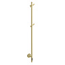 Arezzo Electric Heated Towel and Robe Hanging Bar - Brushed Brass