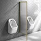Arezzo Fluted Glass Brushed Brass Framed Urinal Partition Large Image