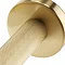 Arezzo Industrial Style Brushed Brass Round Single Towel Rail  Profile Large Image