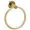 Arezzo Industrial Style Brushed Brass Round Towel Ring  Feature Large Image