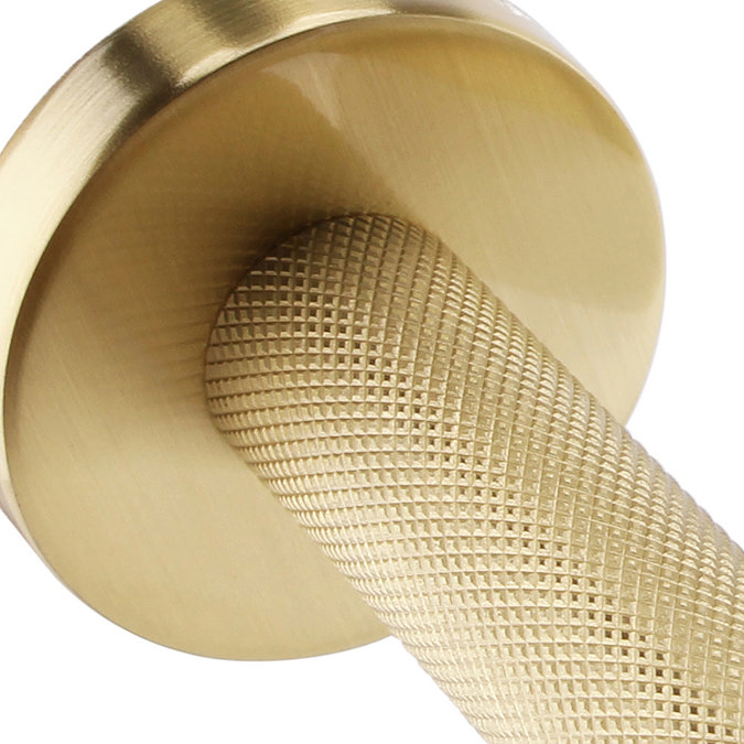 Arezzo Industrial Style Brushed Brass Toilet Roll Holder  Profile Large Image