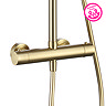 Arezzo Low Pressure Round Thermostatic Shower with Cool Touch - Brushed Brass