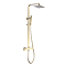 Arezzo Low Pressure Thermostatic Shower with Cool Touch - Brushed Brass