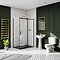 Arezzo Matt Black 1200 x 800 Frameless Sliding Door Shower Enclosure with Black Tray  Newest Large Image