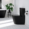 Arezzo Matt Black BTW Close Coupled Toilet + Soft Close Seat
