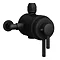 Arezzo Matt Black Dual Exposed Valve with Rigid Riser Kit, 195mm Shower Head, Handshower & Diverter