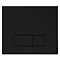 Arezzo Matt Black Dual Flush Plate Large Image