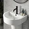 Arezzo Matt Black Industrial Style 1-Touch Basin Tap  In Bathroom Large Image