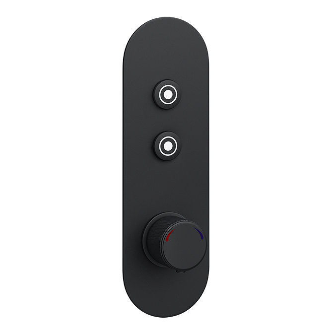 Arezzo Matt Black Industrial Style Push Button Shower Valve (2 Outlets) Large Image