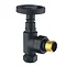 Arezzo Matt Black Industrial Style Angled Radiator Valves  Profile Large Image