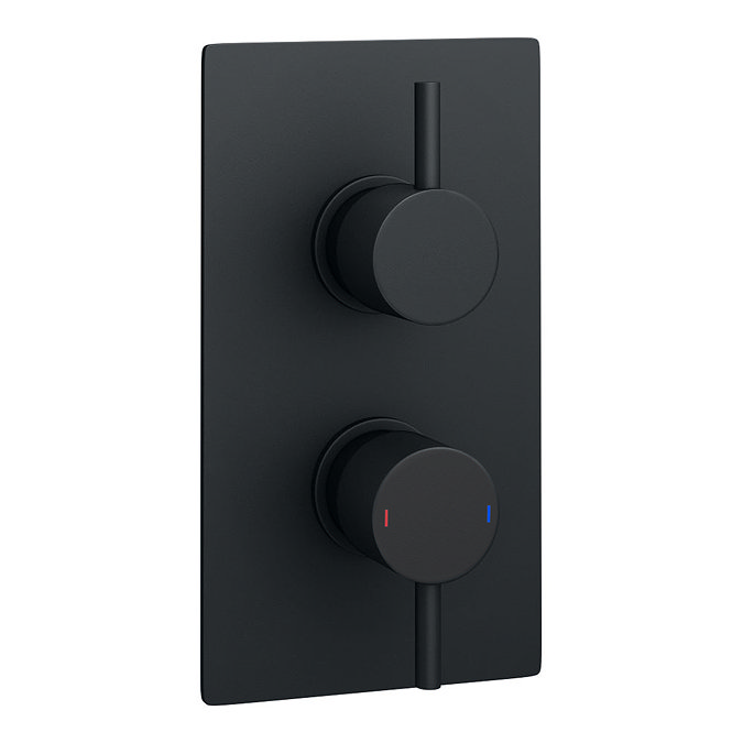 Arezzo Matt Black Round Shower Package with Concealed Valve + Ceiling Mounted Head additional Large Image