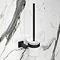 Arezzo Matt Black Toilet Brush & Holder Large Image