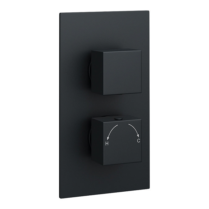 Arezzo Matt Black Wall Mounted Waterfall Bath Filler + Concealed Thermostatic Valve  Standard Large Image